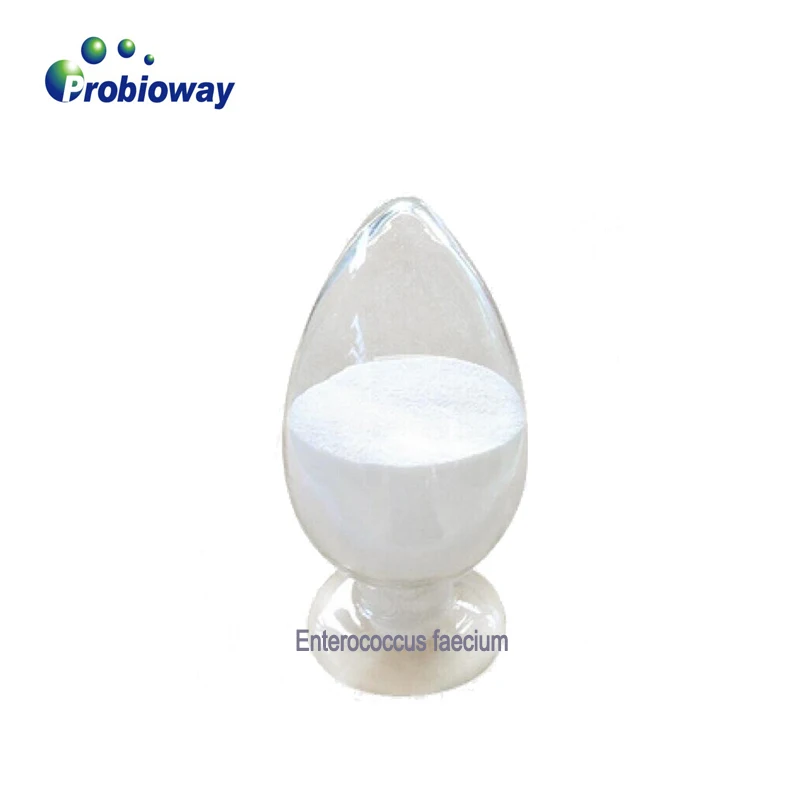 Enterococcus faecium HH-EF59 500 billion veterinary probiotics bulk powder streptococcus faecium animal feed additive