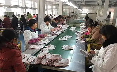 E3E61A37F6E5A5F364A951FE0C4604EE