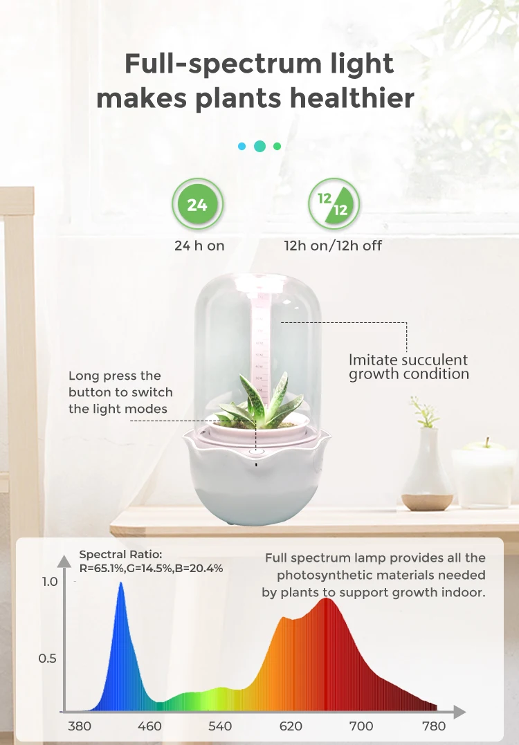 RY  2021 hot sale garden smart flower pot silicone mold fan home garden hydroponics plant growing succulent planting pot