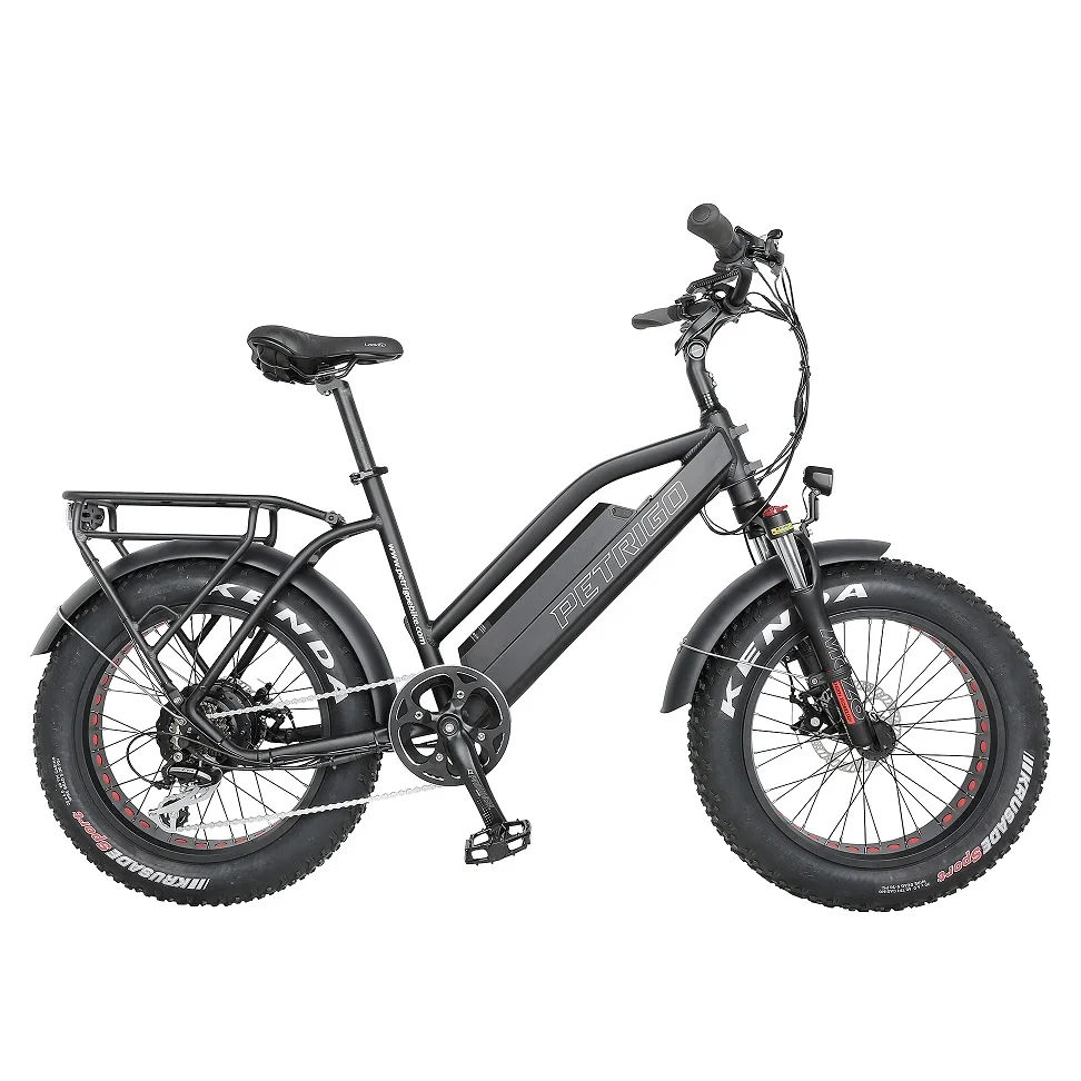 Cheap Price Petrigo 20 Inch Aluminium Frame Bicycle 36V 48V Bafang BBS Shimano 7 Speed E Bike Fat Tire Electric Bike