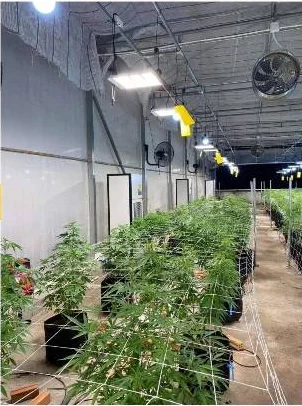 Best Sale Swimming Pool Industrial Electric Moisture Absorber Dehumidifier Machine