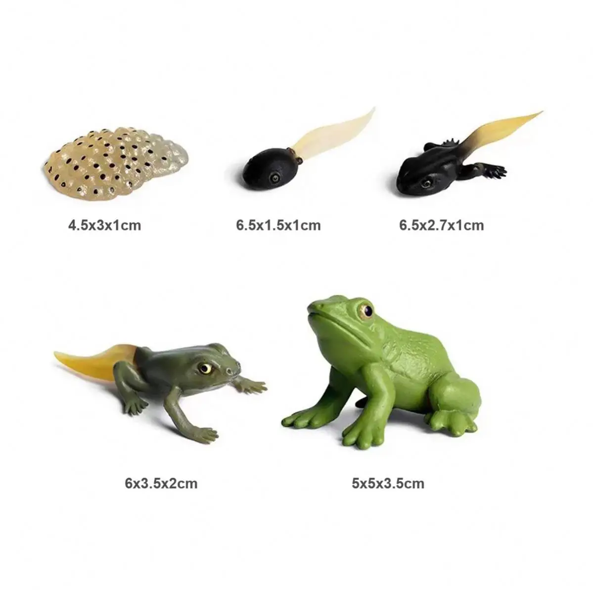 montessori life cycle toy lifelike insect animal figurines education life cycle figurines toy