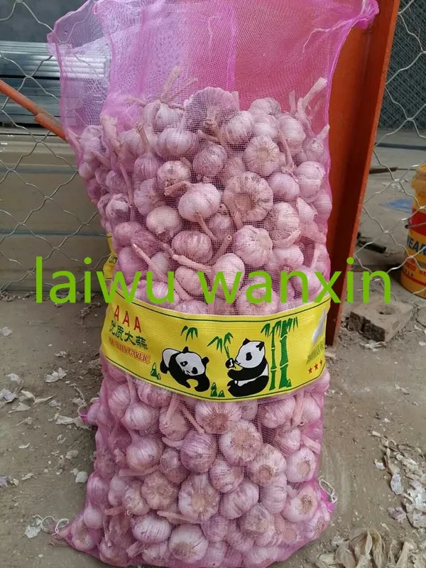
garlic price 2021 