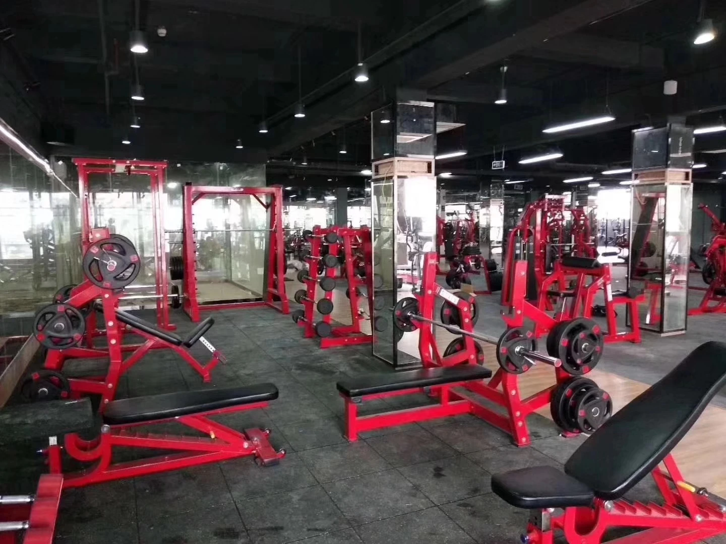 Factory Direct Supply Commercial Plate Loaded Arm Muscle Building MND Fitness Gym Equipment Fore Arm For Club