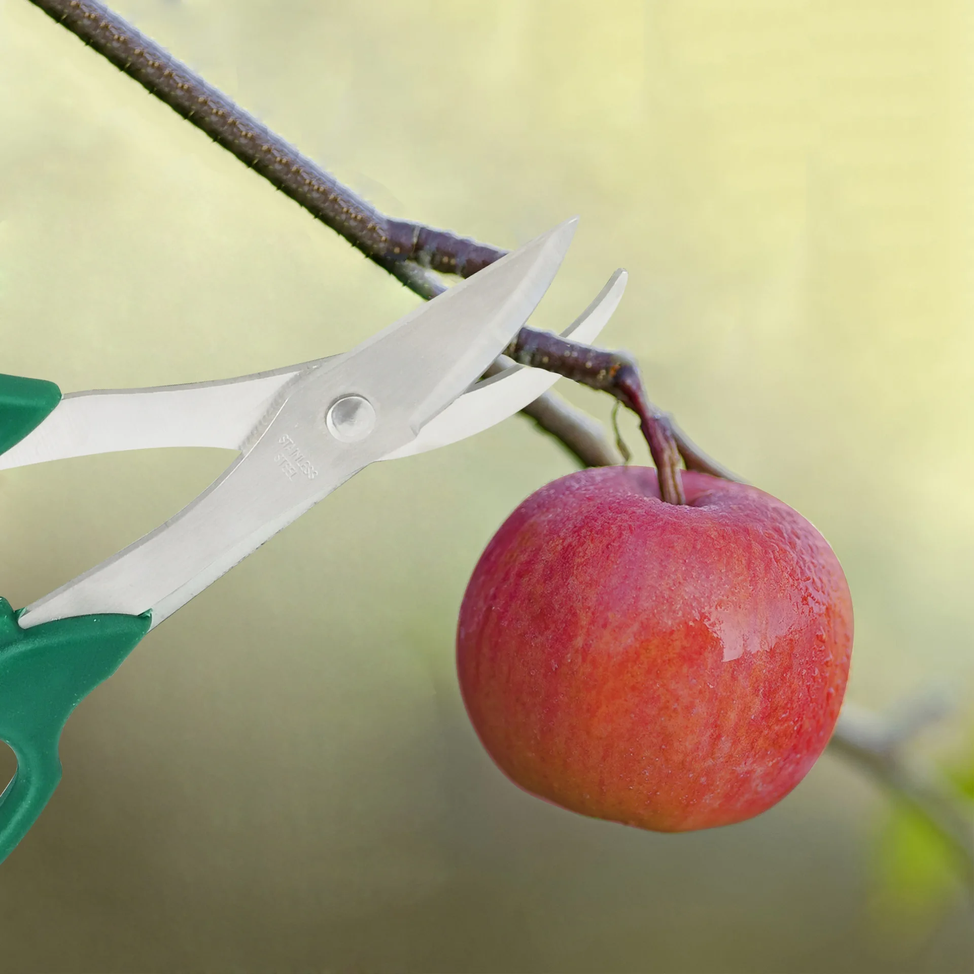 Wholesale Professional 3-Piece Garden Pruner Set Bonsai Scissors Graft Scissors Pruning Shears