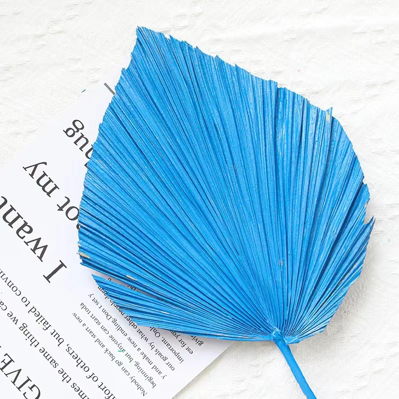 Сушеный веер для пальмы в классическом стиле свадебного