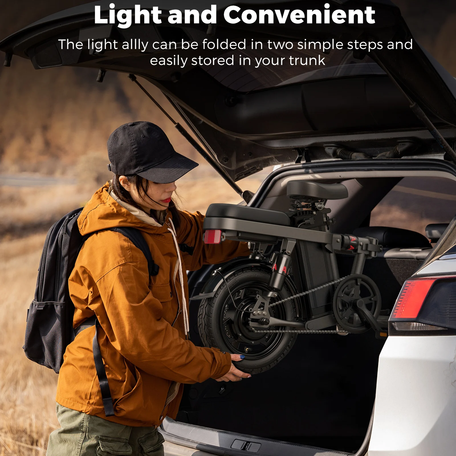 ENGWE Ebike T14 Folding Bike Electric 250W 25km/h Electric Bicycle Pedal Assist Electric Mini Bike EU Warehouse