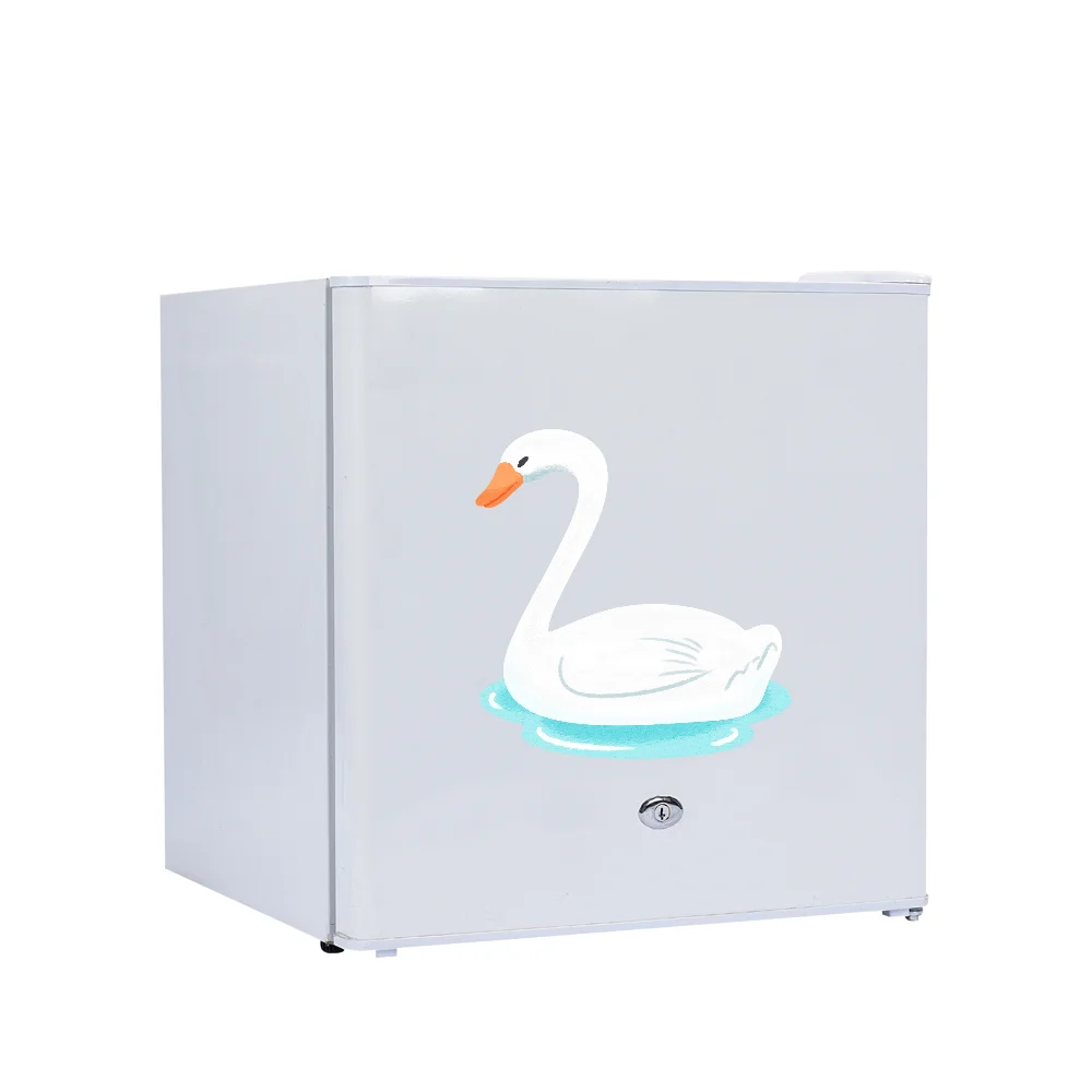 Hot selling refrigerator 50L with single door run on solar energy convenient for outdoor using