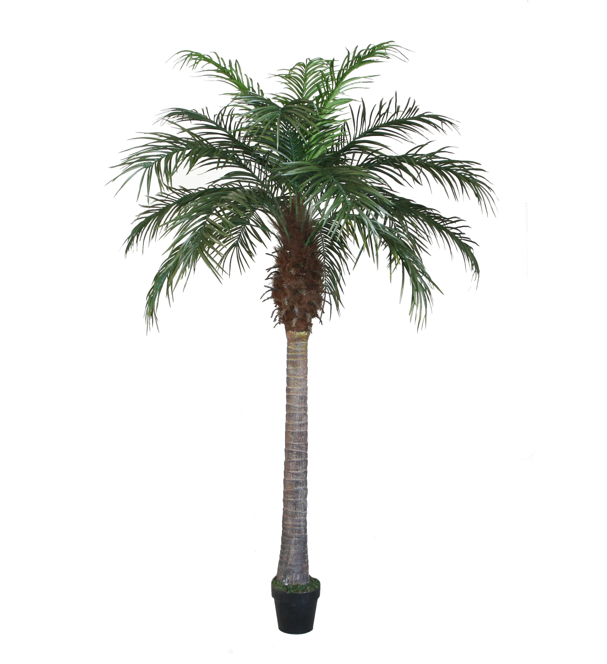 High quality outdoor decoration  artificial  phoenix kwai  palm tree with coconut  tall artificial plant potted