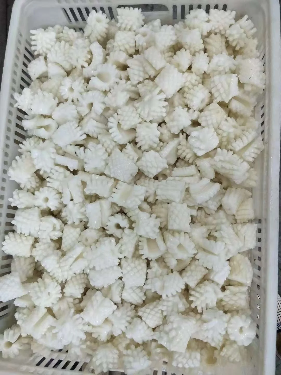 
Good Sale Seafood Fish Frozen Squid 