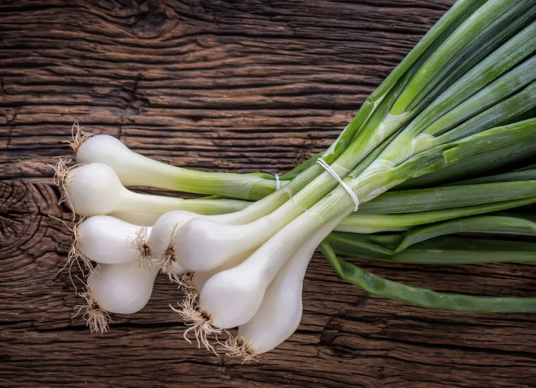 KWS China exporter green scallions green fresh onion