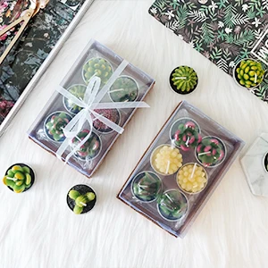 26g Custom Design 6 Pack Set Succulent Green Plants Mini Cactus shaped Carved Candles
