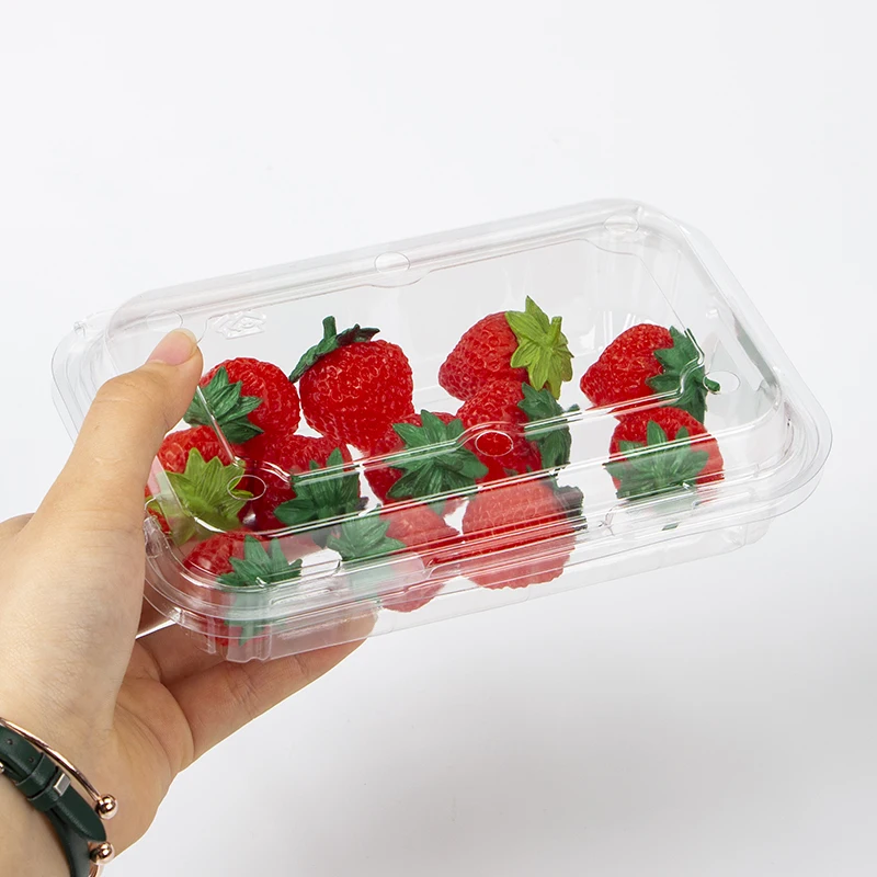 Clear Blister Pet Plastic Food Grade Clamshell Fresh Fruit and Vegetable Container