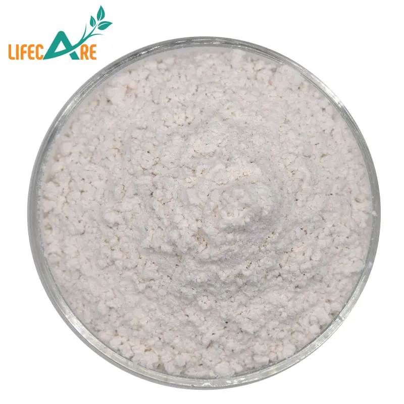 Fucus Vesiculosus Extract Fucoidan High Quality Fucoidan Powder
