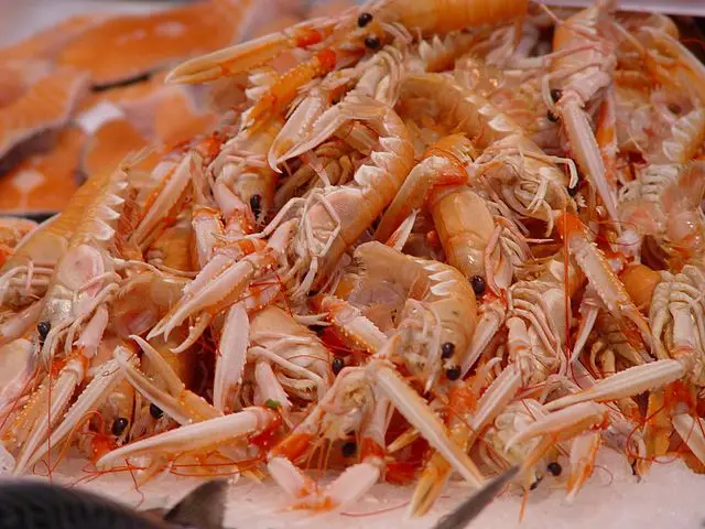Dried shrimp shell / Shrimp shell from Vietnam