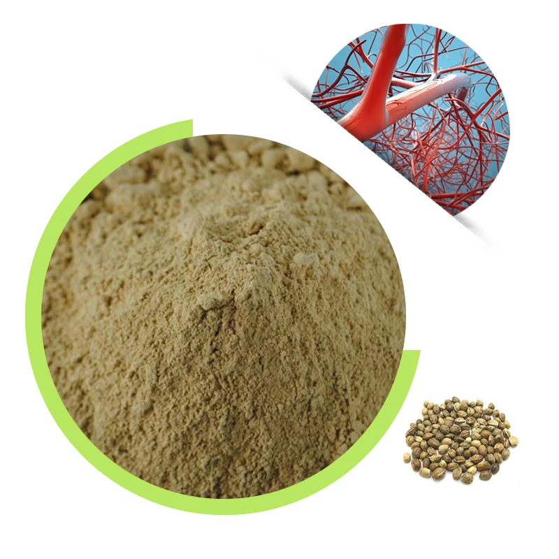 Herbal Rutin Powder CAS 153-18-4 Flos Sophorae Bud Extract Food Grade Rutin Powder For Health Food Additive