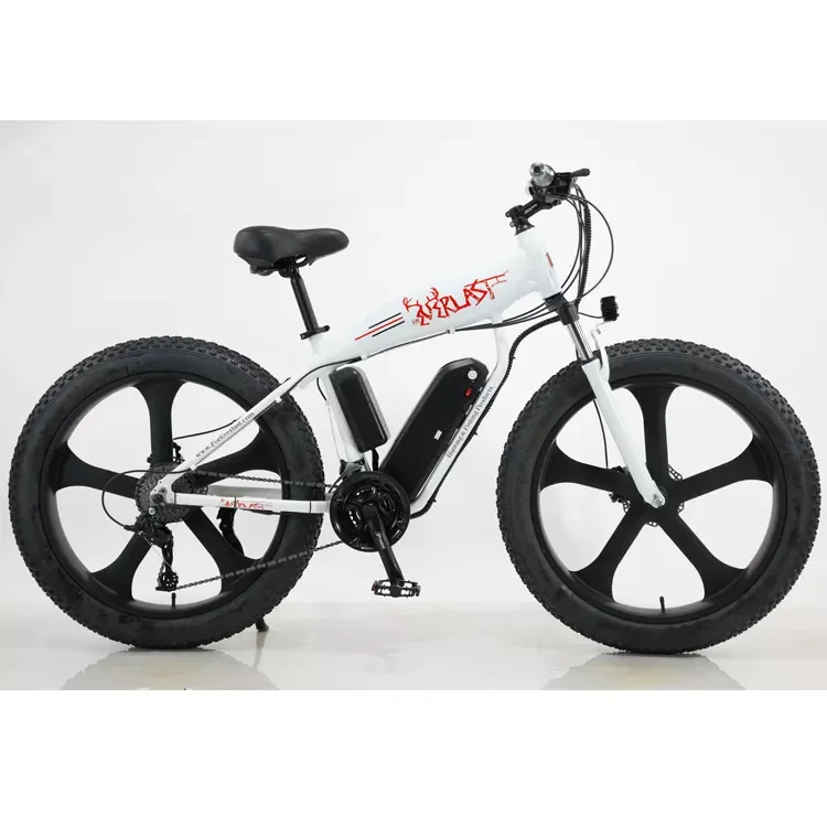 Fat bike electric 3000w for sale/48V charging fat tire electric bike in bangladesh/OEM batteries 5000w 8000w fat e-bike bicycle