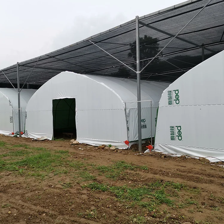Plastic Mushroom Greenhouse Film for Vegetables Cover Grow Tents Agricultural Mushroom Tunnel Greenhouse
