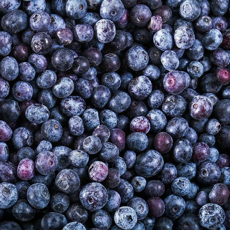 2024 China Supplier Bulk Frozen Fruit Frozen Blueberry Iqf Blueberry Price