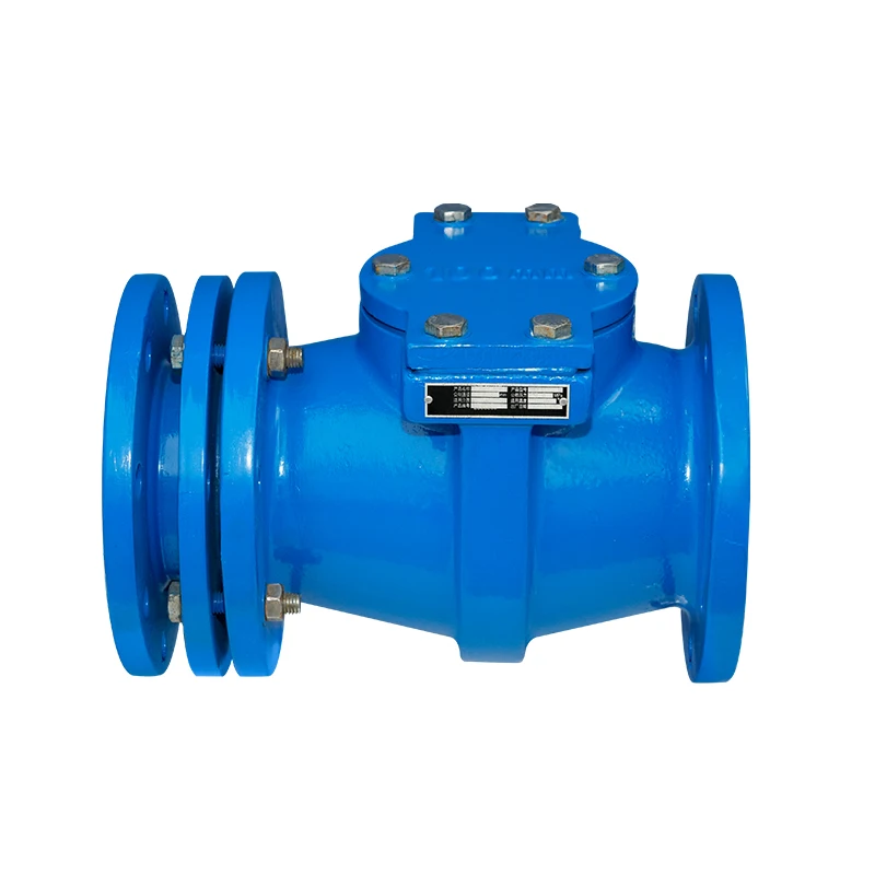 China Marine water strainer T-Type Strainer cast iron water strainer