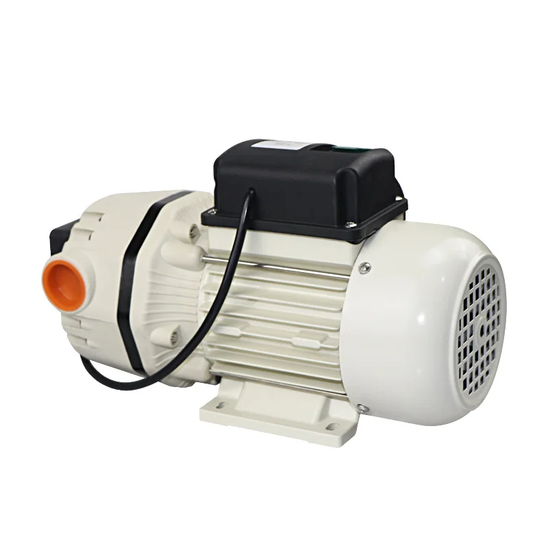 AC220V DC12V/24V adblue pump chemical injection pump alcohol transfer pump