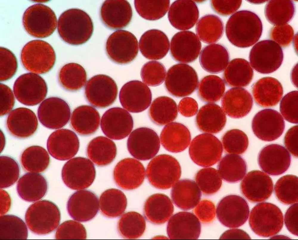 
Supply Best price Pure Natural Astaxanthin 