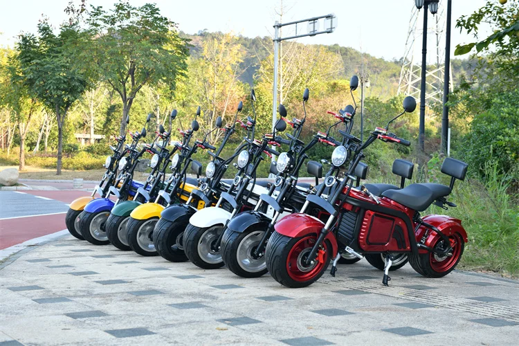 ZXT_2246_.jpg