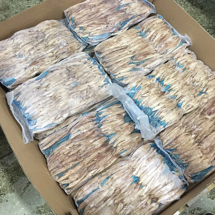 frozen bonito tuna loins fish product for sale (60757043327)