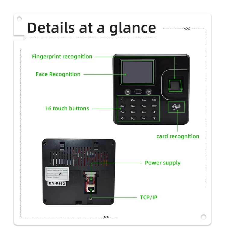 Cloud TCP|IP Time Recording Face Attendance Fingerprint Time Attendance System