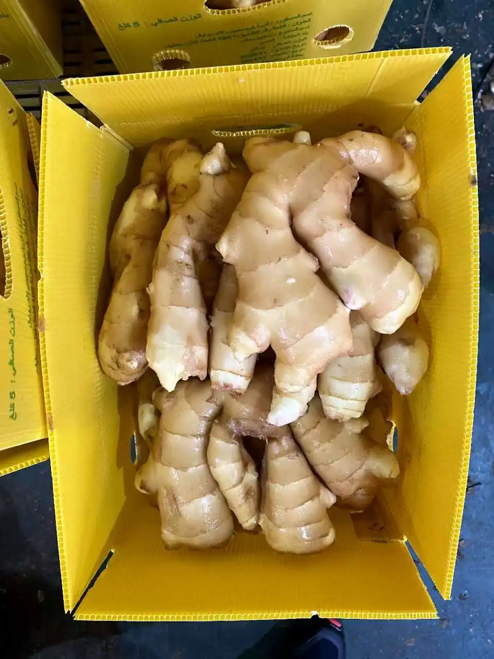 China Ginger Manufacturer Best Price New Season Ginger in bulk Top Quality Fresh Dried Ginger