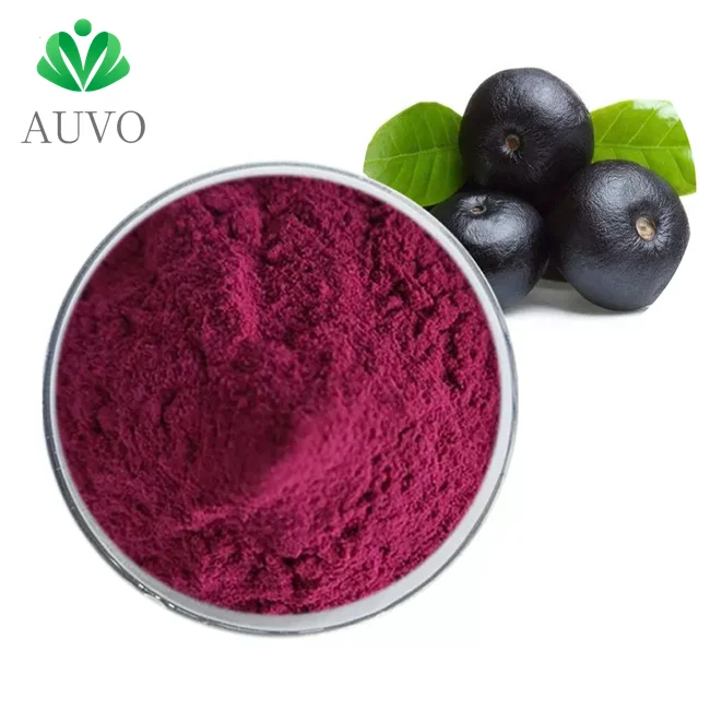 Natural Anthocyanin Polyphenol organic black currant extract powder ribes nigrum extract blackcurrant juice extract powder