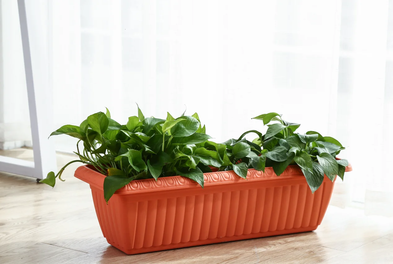 
The balcony vegetable pots rectangular plastic flower pot garden pots for plants 