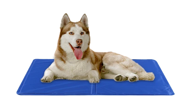 Customizable universal pet ice mats for cats and dogs in summer,cooling mat can use to dissipates heat for computer