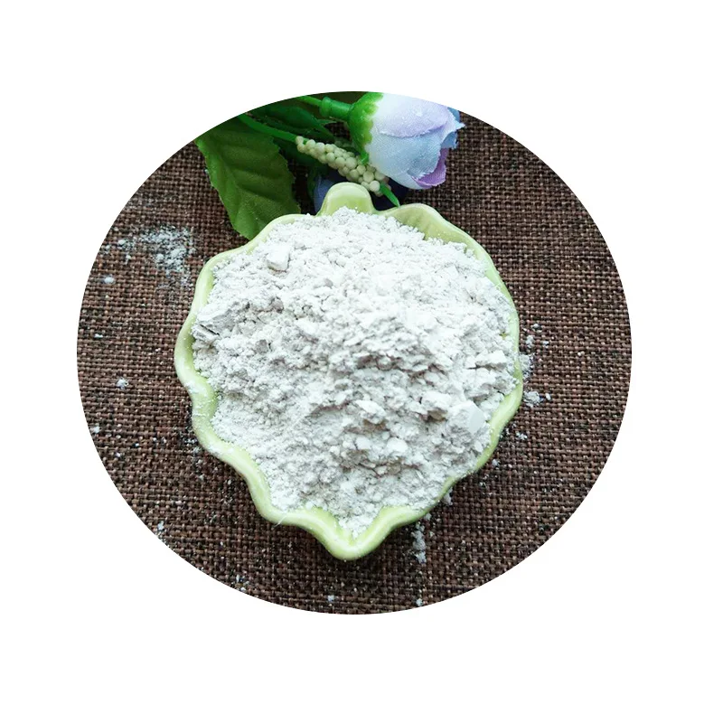 Food Grade Fruit powder Melon powder