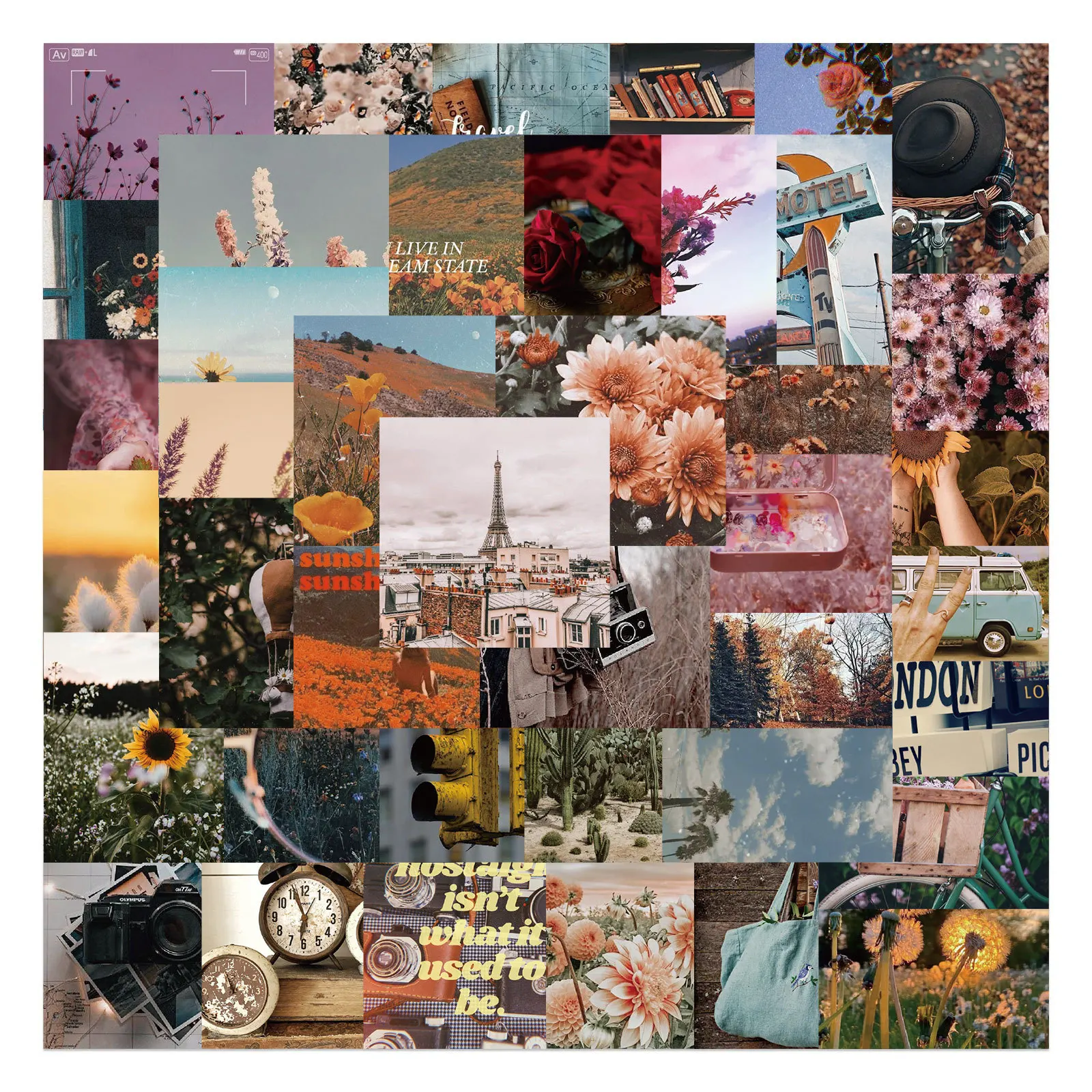 Japanese stickers Vintage Nature Plant Flower Scenery aesthetic sticker for bike Luggage Car Laptop