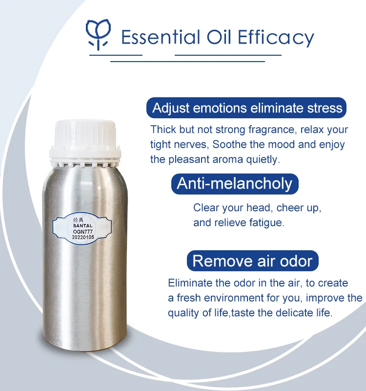 High Quality  fragrance scent oils Famous oils perfume fragrance Glamour perfume for ladies