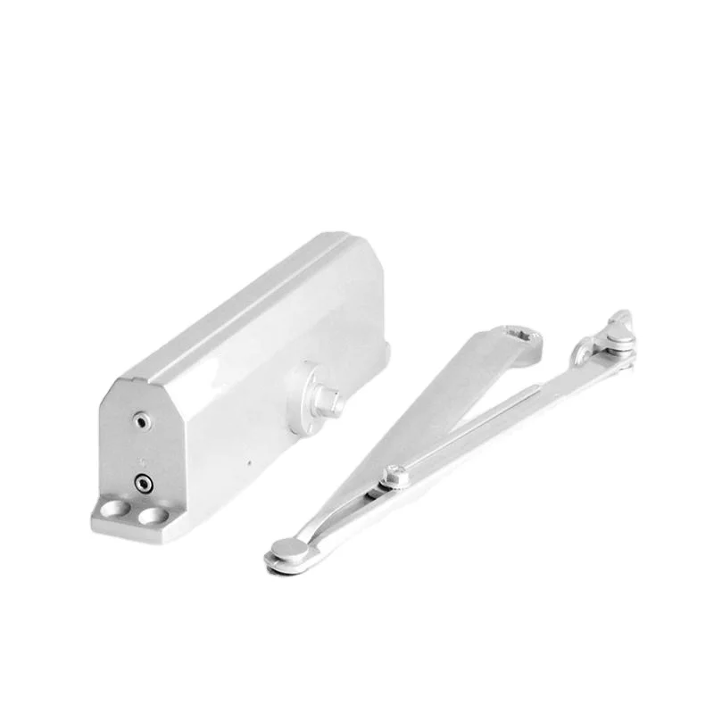 Chinese Door Closer New Product Top Quality Fire Proof Concealed Door Closer door closing professional furniture hardware
