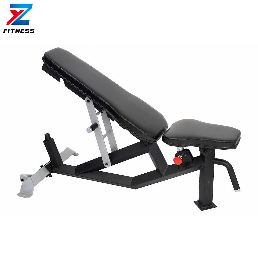 Customized Unisex Glute Weightlifting Adjustable Benches Gym Equipment