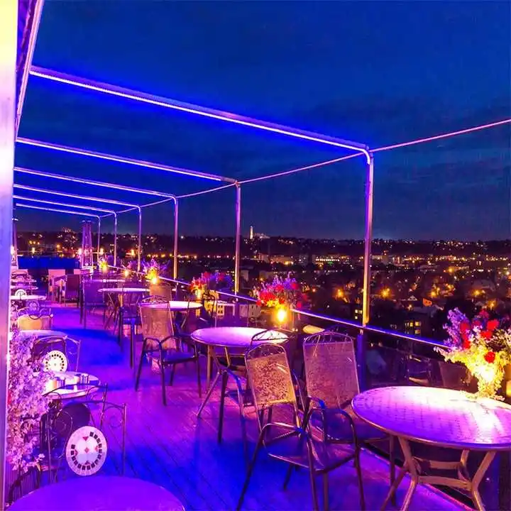 Flexible Silicone 5V 12V 24V Luminescent Waterproof Ambient Light Tube Bipolar Neon Lighting
