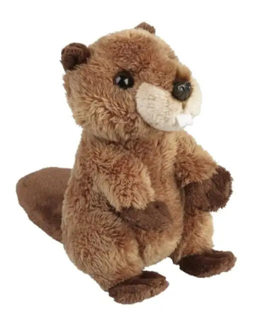 beaver 11-F