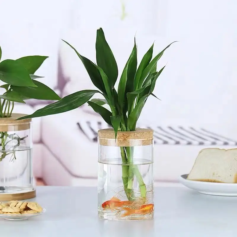 High-quality borosilicate glass Flower jars with perforated cork  for Hydroponic Plants