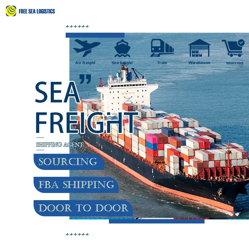 Professional and Fast shipping freight forwarder from Shenzhen shipping agent to US Japan