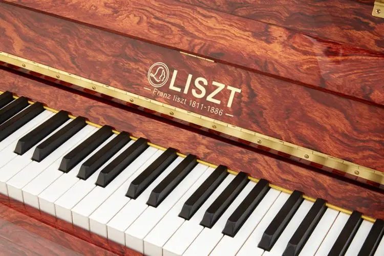 New Style Hot Selling Music Instruments Upright Piano Weighted Mechanical Vertical Piano