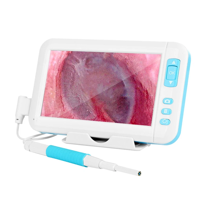 P20 Ear Cleaner Screen Otoscope Endoscope Camera HD1080P 3.9MM 4.3 inch HD Screen Camera Otoscopio digital Ear Monitor Earpick