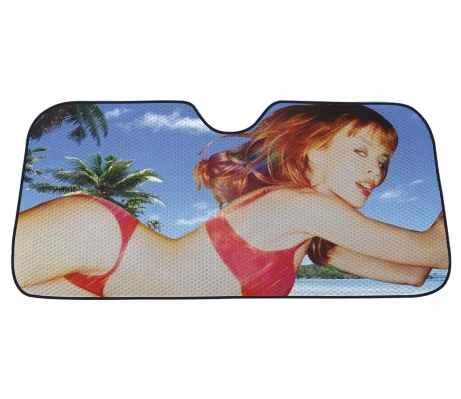 Factory direct sale sunscreen heat insulation large glass cover sunshade curtain window block car front sun shade