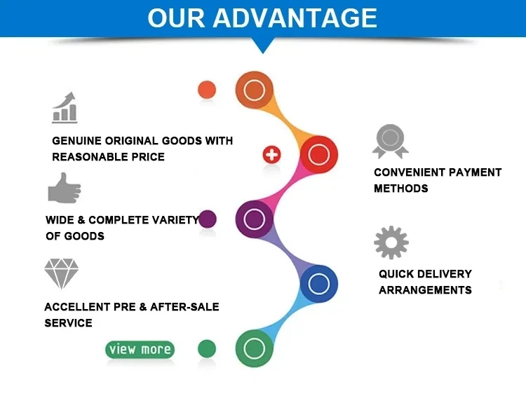 Our advantage.webp.jpg
