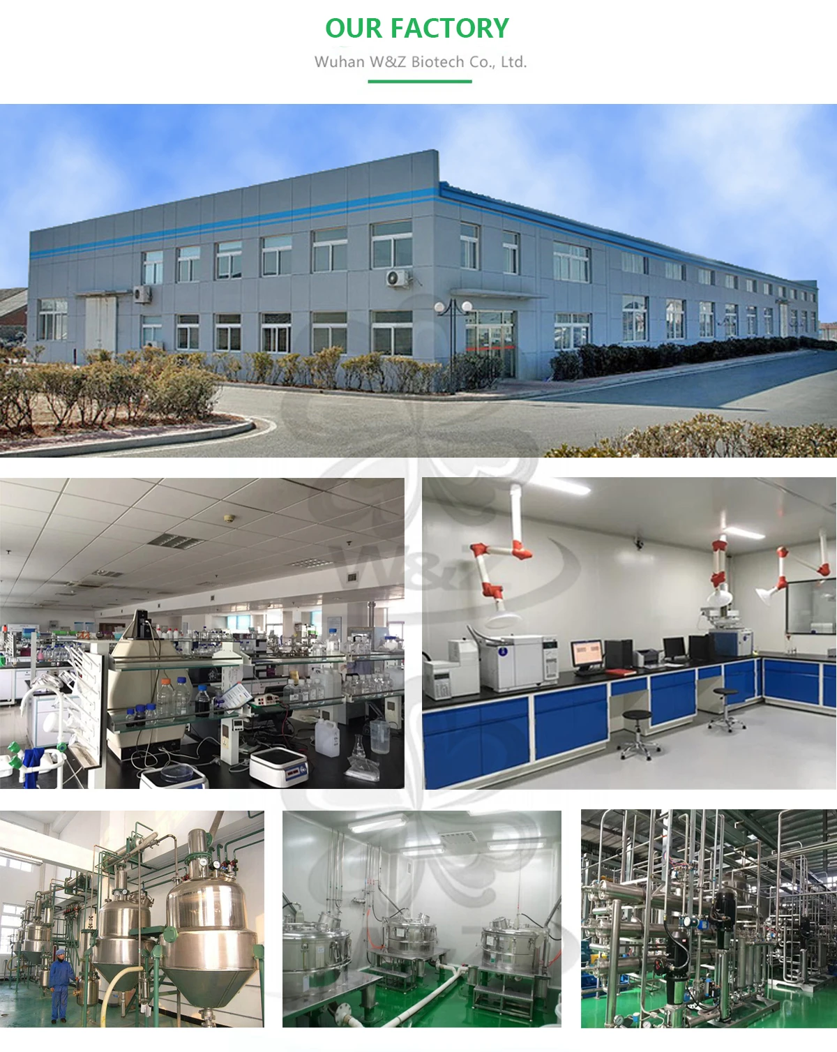 
Hot sale Tauroursodeoxycholic Acid sodium Tauroursodeoxycholzuur natrium TUDCA USA warehouse in stock 