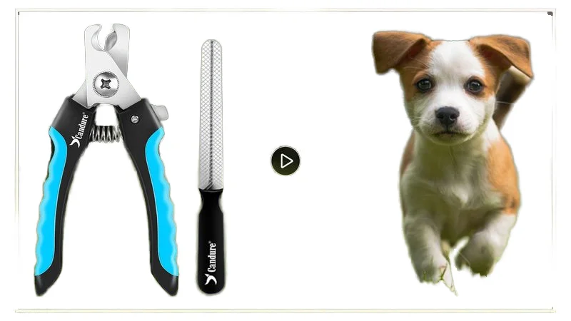 Pet Nail Clippers Wholesale Pet Grooming Accessories Product Stainless Steel Pet Nail Scissors