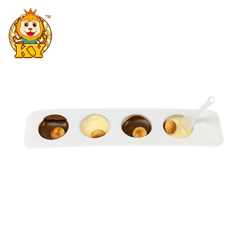 Manufacturer wholesale 5 pcs sweets coin shape chocolate biscuit