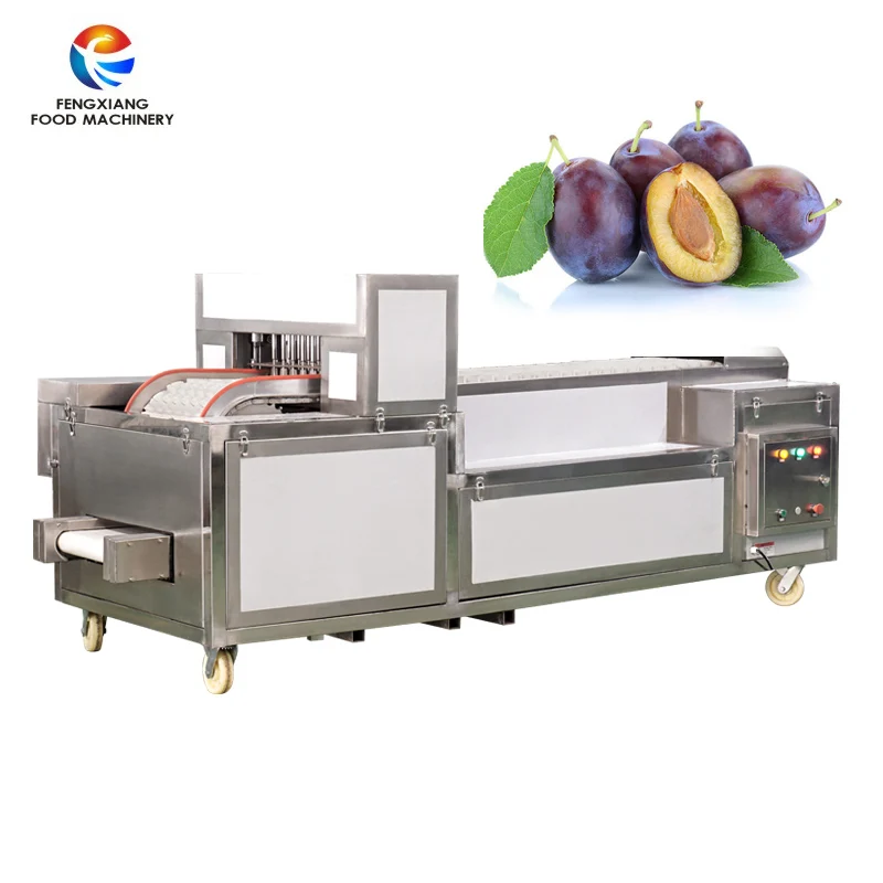 CL-I Industry Automatic plum pitter